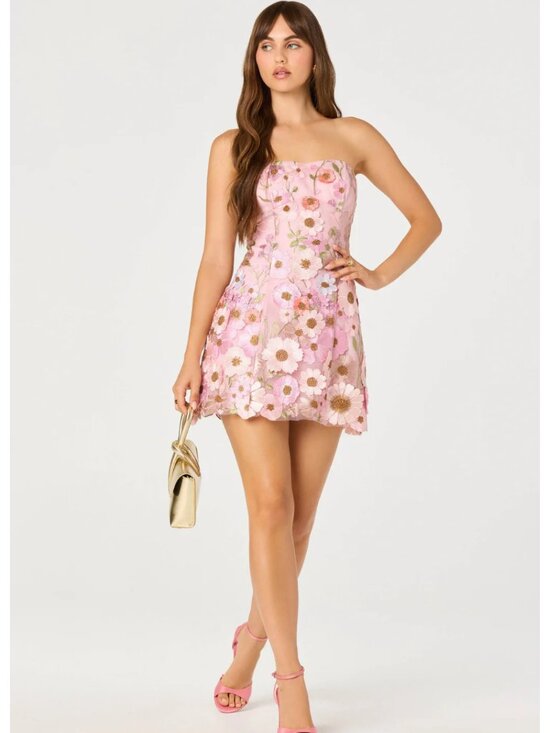 Astr Dresses & Skirts - ASTR Julisa Embroidered Floral Strapless Mini Dress NEW